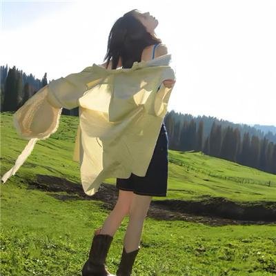 什布卡山上的英雄们